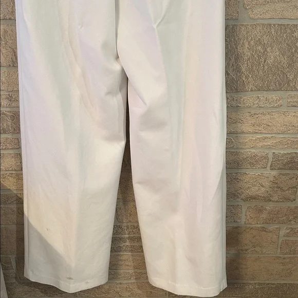 Aritzia Babaton Revue Pant
High-waisted pleated pants - Picture 8 of 15